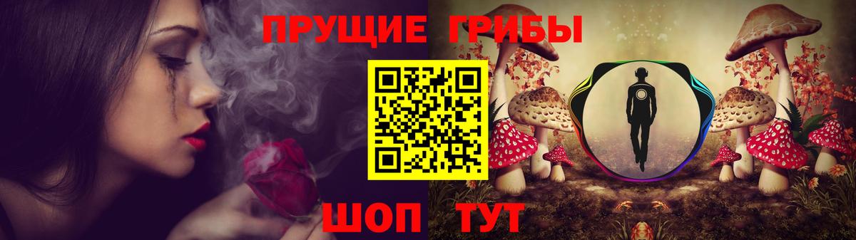 Псилоцибиновые грибы Psilocybe  Вход с VPN  Чебаркуль 